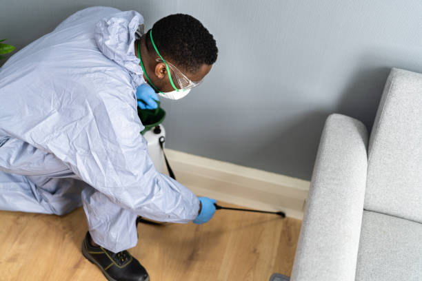 Best Real Estate Pest Inspections  in Hawthorne, NJ